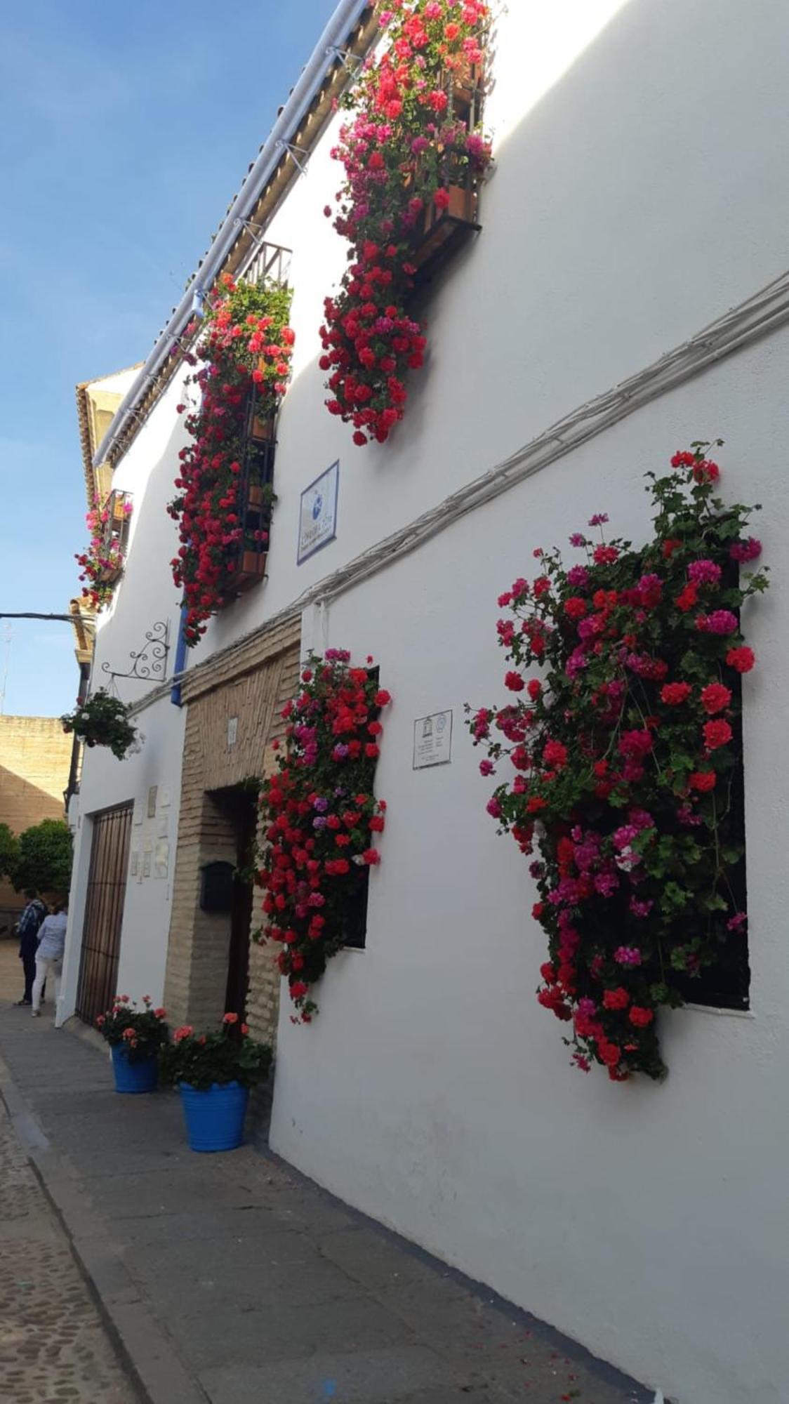 El Rincon De Jesus Y Loli Apartman Córdoba Kültér fotó